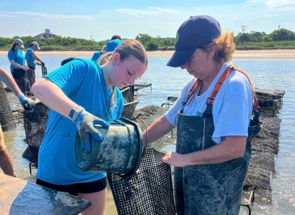 Apprentice Kailey Triant, from the 2025 Apprenticeship in Shellfish Aquaculture Program, sorts oysters for market with partner farmer Lisa Calvo of Sweet Amalia Oyster Farm. Separating marketable oysters from smaller ones is a way that farmers manage their inventory while ensuring that a high-quality product is provided to consumers.