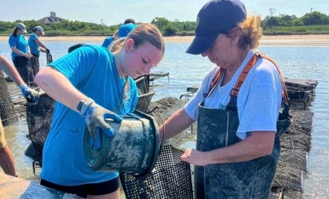Apprentice Kailey Triant, from the 2025 Apprenticeship in Shellfish Aquaculture Program, sorts oysters for market with partner farmer Lisa Calvo of Sweet Amalia Oyster Farm. Separating marketable oysters from smaller ones is a way that farmers manage their inventory while ensuring that a high-quality product is provided to consumers.