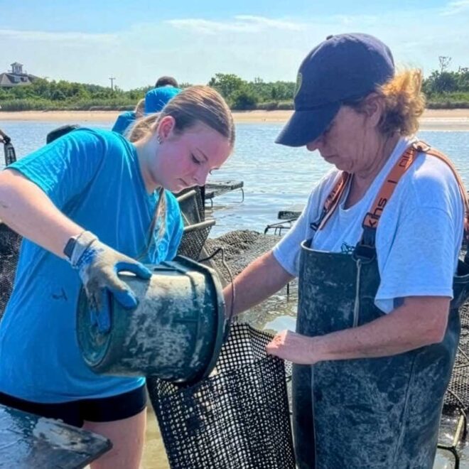 Apprentice Kailey Triant, from the 2025 Apprenticeship in Shellfish Aquaculture Program, sorts oysters for market with partner farmer Lisa Calvo of Sweet Amalia Oyster Farm. Separating marketable oysters from smaller ones is a way that farmers manage their inventory while ensuring that a high-quality product is provided to consumers.