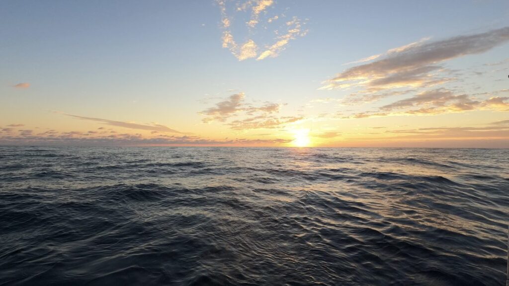 (Photo by Taylor Crockford, ©Woods Hole Oceanographic Institution)