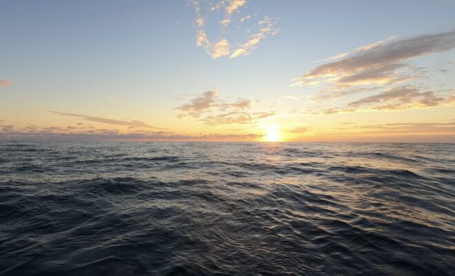 (Photo by Taylor Crockford, ©Woods Hole Oceanographic Institution)