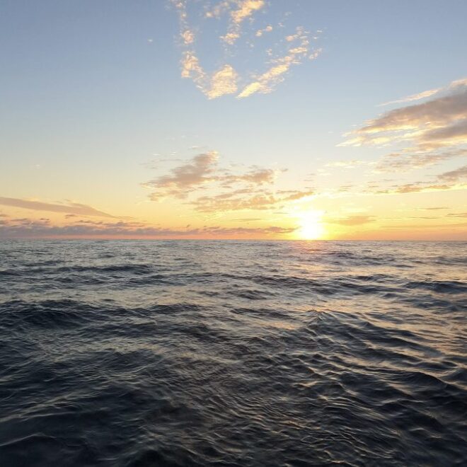 (Photo by Taylor Crockford, ©Woods Hole Oceanographic Institution)