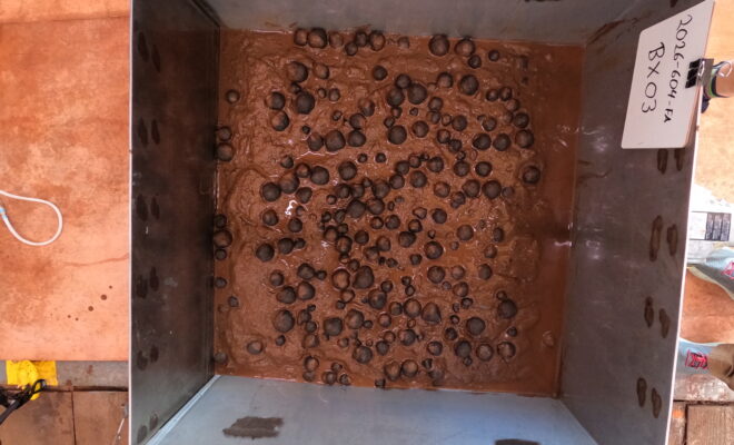 Image of geological samples from the seafloor that were collected via box core on April 14, 2026, in U.S. waters off American Samoa. (Image credit: USGS)