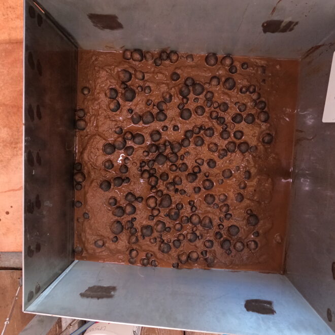 Image of geological samples from the seafloor that were collected via box core on April 14, 2026, in U.S. waters off American Samoa. (Image credit: USGS)