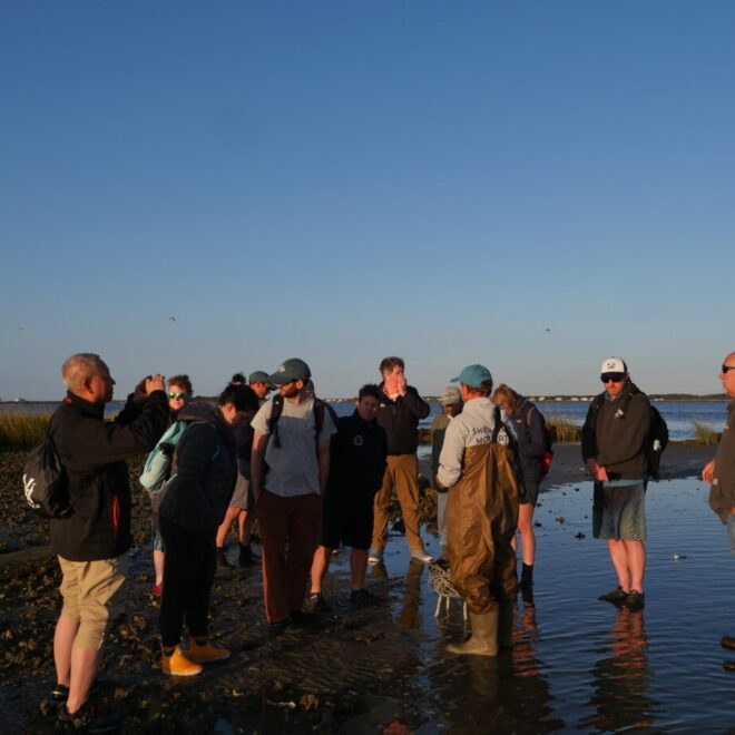 Sea Grant Aquaculture Leadership Academy participants tour a Sandbar Oyster Company oyster and salt marsh restoration project North Carolina. (Photo by LaDon Swann)
