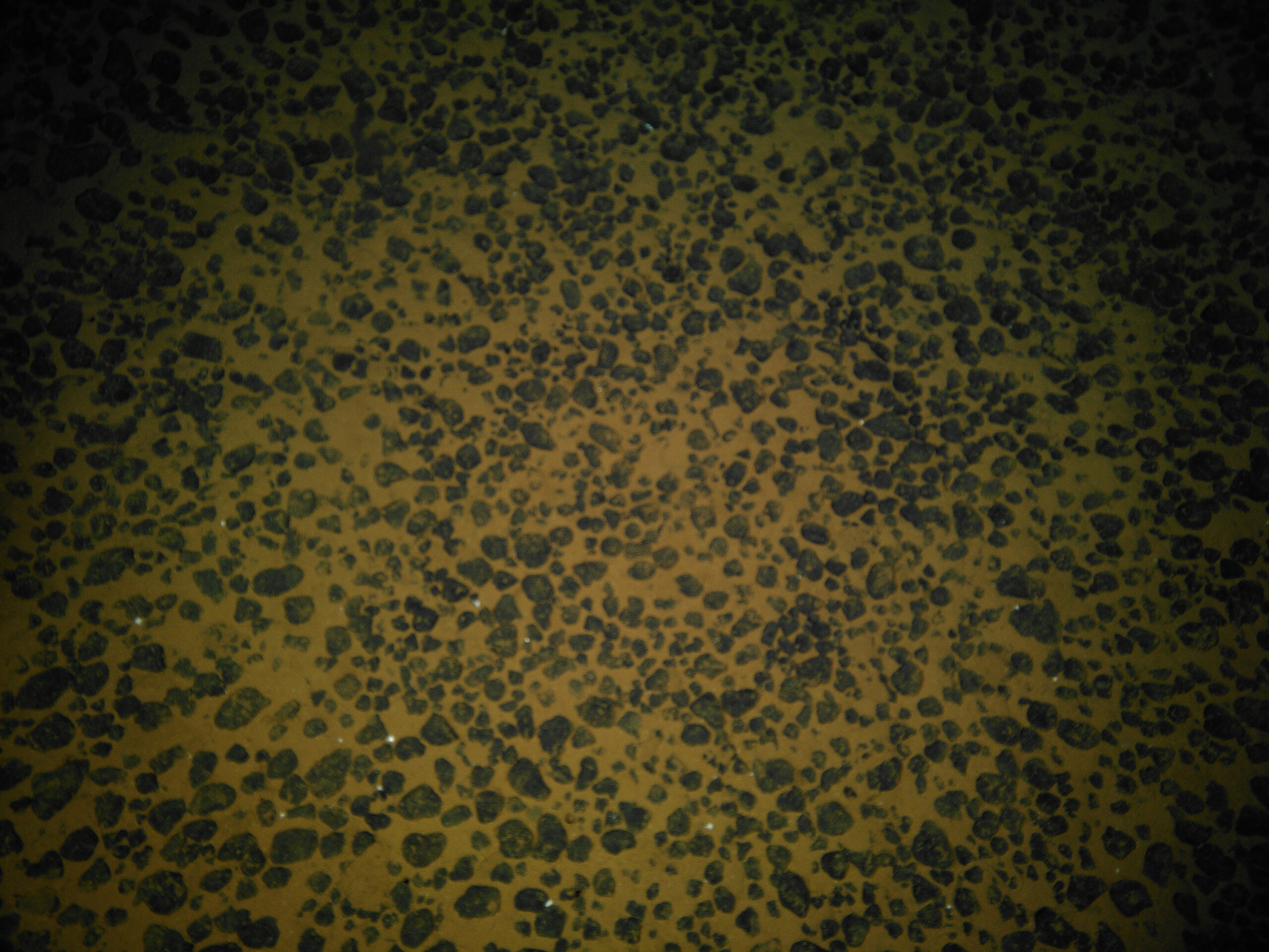 Presumed polymetallic nodules on the seafloor off American Samoa at a depth of 5,498 meters (3.42 miles) prior to the collection of a box core. (Image credit: NOAA)