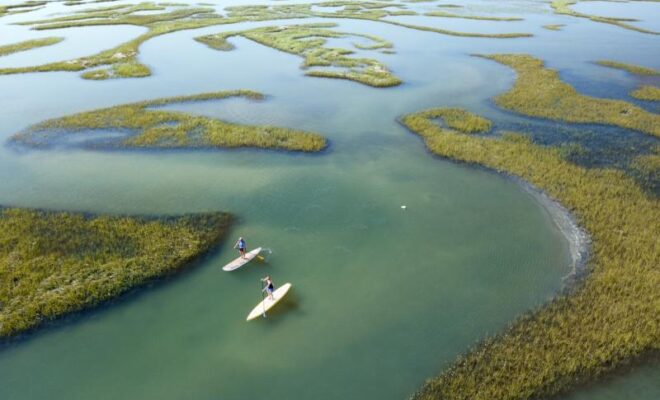 Stand-up paddle boarders explore marsh around Wrightsville Beach, North Carolina. Credit: Hank Carter.