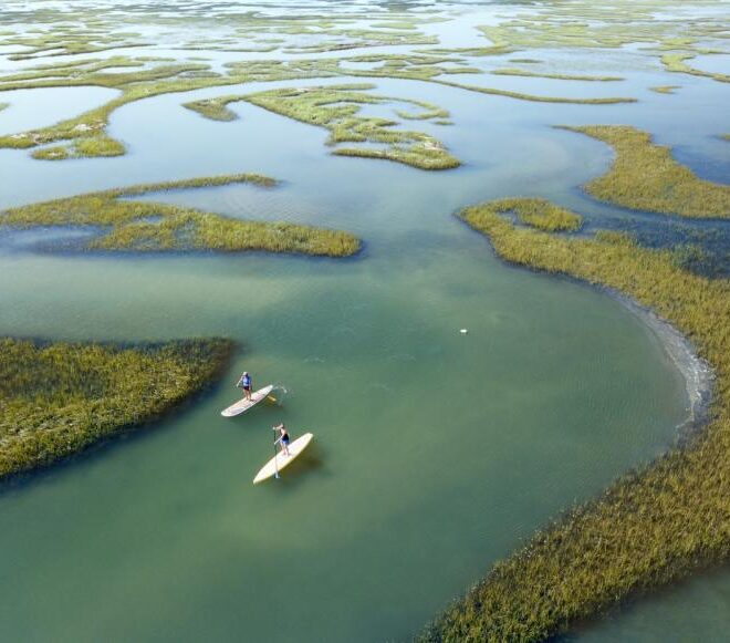Stand-up paddle boarders explore marsh around Wrightsville Beach, North Carolina. Credit: Hank Carter.