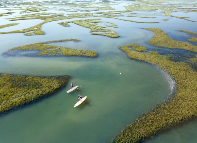 Stand-up paddle boarders explore marsh around Wrightsville Beach, North Carolina. Credit: Hank Carter.