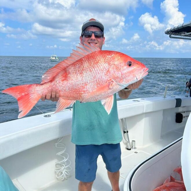 Image Credits: fisheries.noaa.gov.