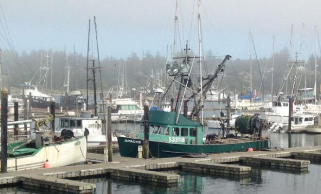 Vessels docked in Newport, Oregon. Credit: Erin Steiner, NOAA Fisheries
