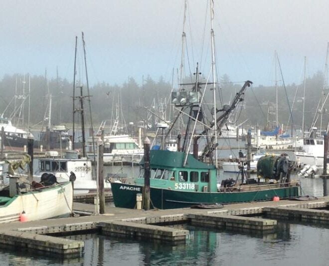 Vessels docked in Newport, Oregon. Credit: Erin Steiner, NOAA Fisheries