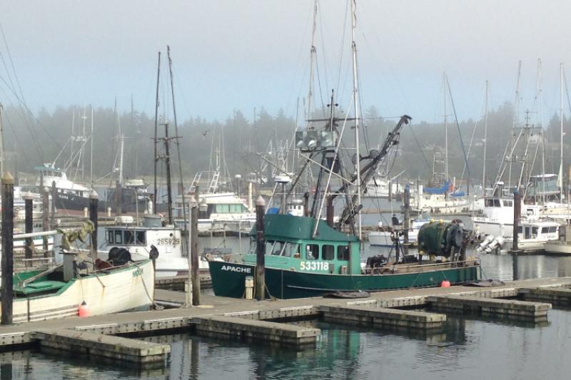 Vessels docked in Newport, Oregon. Credit: Erin Steiner, NOAA Fisheries