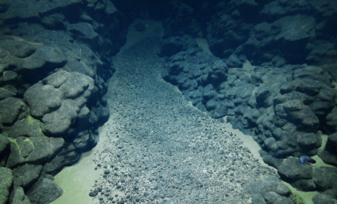 During the 2025 Deep-sea Habitats of the Cook Islands expedition on Exploration Vessel Nautilus the team surveyed various seascapes to better understand seabed environments, and natural and mineral resources in the region. In this image, polymetallic nodules rest on sediment accumulated in a depression between rounded pillows and extended lobate lava flows, which are evidence of ancient volcanoes. (Image credit: Courtesy of Ocean Exploration Trust)