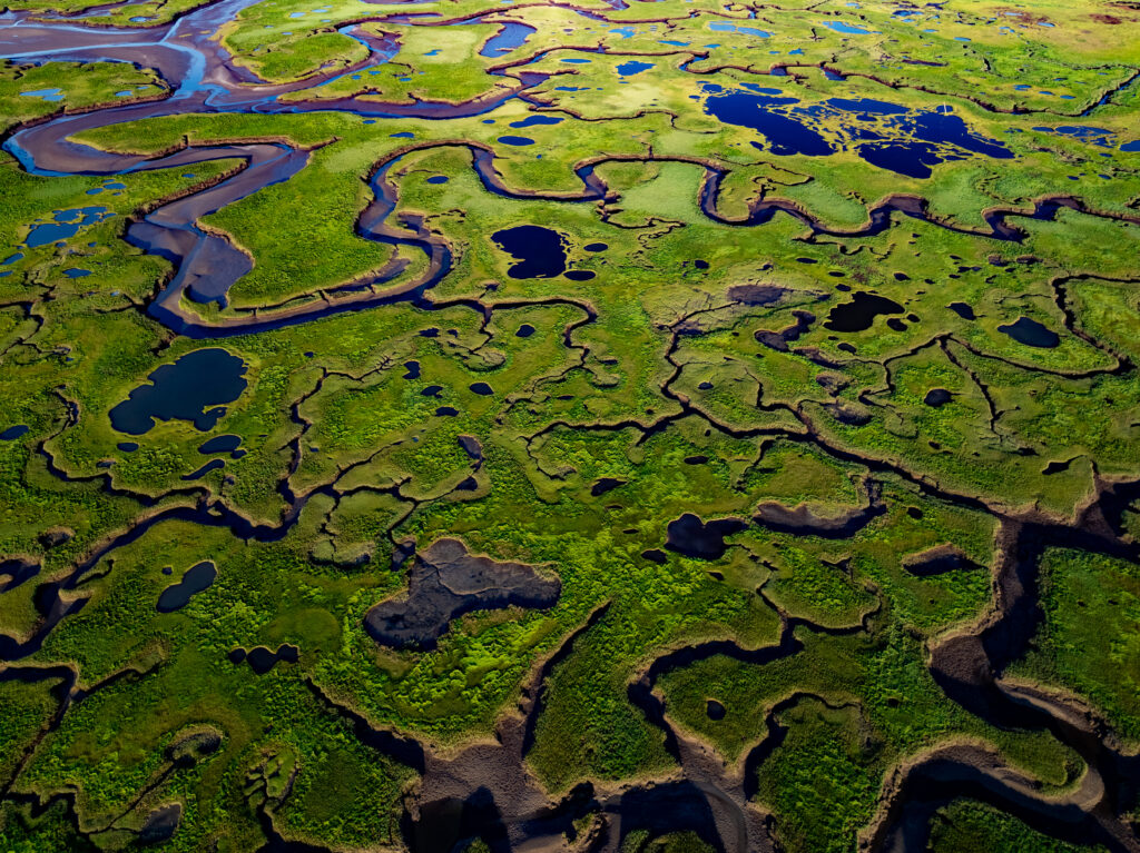 This image is of a salt marsh in coastal Maine. The high-resolution, land cover mapping NOAA has done for the state captures the tidal creeks, pannes, pools and vegetation with far greater precision and detail than past, 30-meter mapping. (Image credit: NOAA)