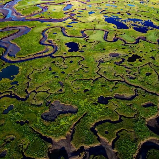 This image is of a salt marsh in coastal Maine. The high-resolution, land cover mapping NOAA has done for the state captures the tidal creeks, pannes, pools and vegetation with far greater precision and detail than past, 30-meter mapping. (Image credit: NOAA)