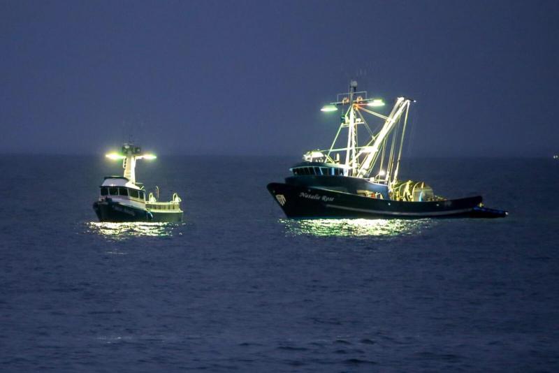 Vessels from the West Coast squid fleet followed market squid north into Oregon as ocean waters warmed, leading Oregon to adopt its first regulations for squid fishing in the state. Photo courtesy of California Department of Fish and Wildlife.