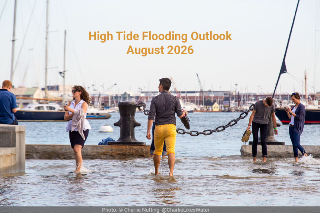 People walking barefoot on a flooded walkway along the shore.