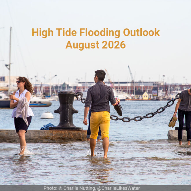 People walking barefoot on a flooded walkway along the shore.