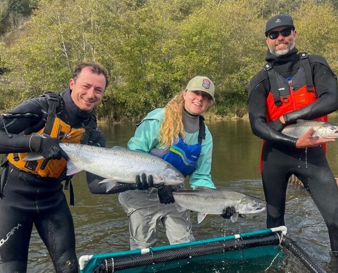 Members of the monitoring show off adult salmon captured at a monitoring station. From left to right, Kevin Vandenack holds a steelhead, Katherine Stonecypher holds a coho salmon, and Bryan Crouch holds a Chinook salmon. Credit: Katherine Stonecypher/Cal Poly Humboldt