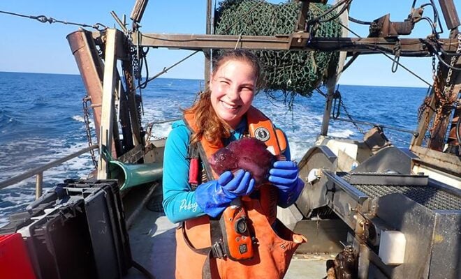 Image Credits: Fisheries.noaa.gov.