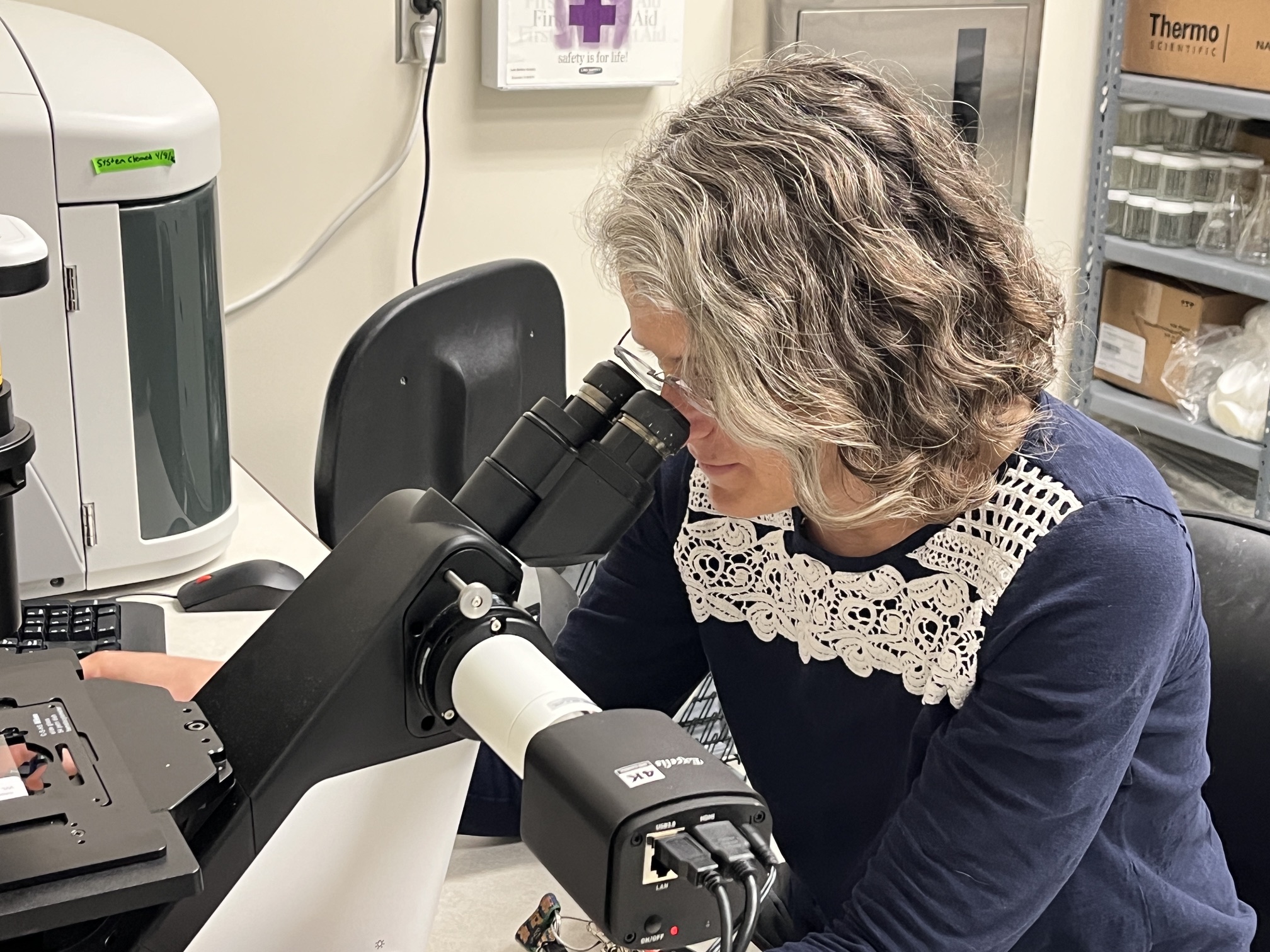 Cara Rodgveller, lead author of this new study, looks at ovarian tissue from Pacific capelin under a microscope. Credit: NOAA Fisheries