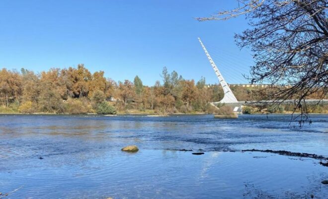 The Sacramento River near the main spawning area of winter-run Chinook salmon blocked by dams from their original mountain spawning habitat. The Sundial Bridge in Redding rises in the background. Credit: Larisa Thacher/UC Davis Center for Watershed Sciences