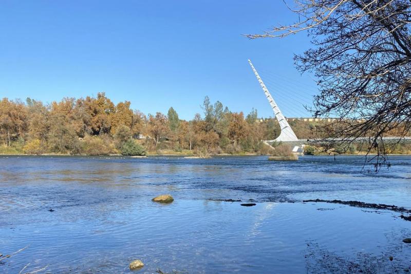 The Sacramento River near the main spawning area of winter-run Chinook salmon blocked by dams from their original mountain spawning habitat. The Sundial Bridge in Redding rises in the background. Credit: Larisa Thacher/UC Davis Center for Watershed Sciences