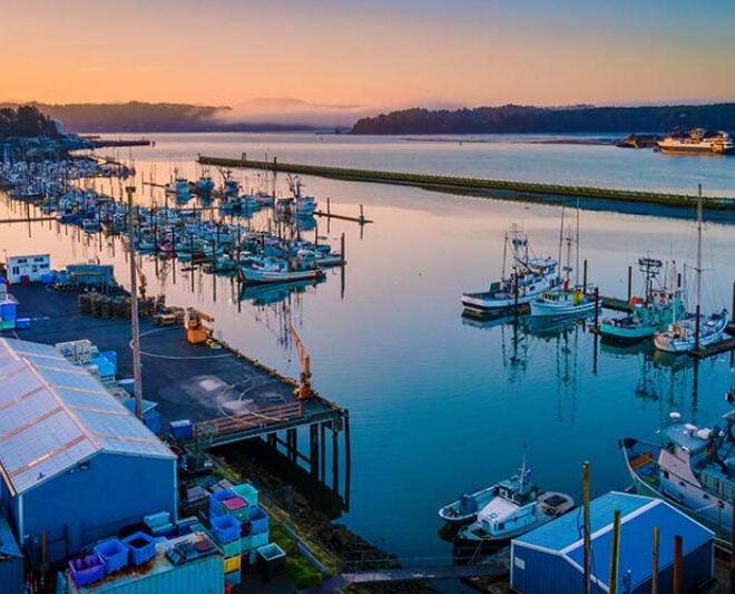Docked fishing boats at Yaquina Bay, Newport, Oregon. Credit: iStock
