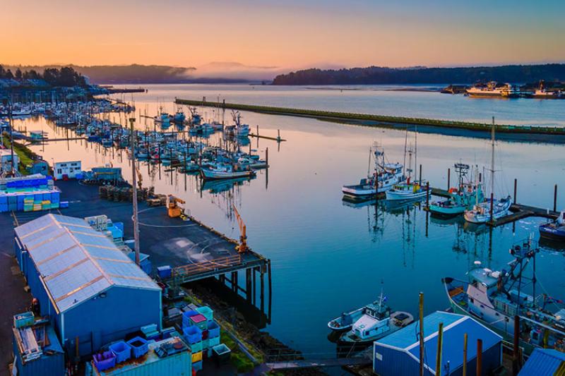 Docked fishing boats at Yaquina Bay, Newport, Oregon. Credit: iStock