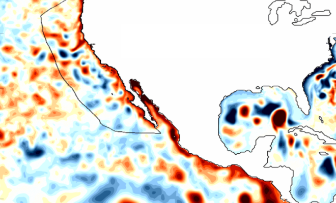 Coastally-trapped Kelvin waves, a signature of El Niño, traveled north along the West Coast during the 1997/1998 El Niño, as shown in a map of sea surface height anomalies. Darker reds show sea levels higher than normal, while darker blues show heights below normal. Scientists are now watching for similar waves to move up the West Coast this fall. Credit: Dillon Amaya/North Carolina State University