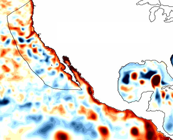 Coastally-trapped Kelvin waves, a signature of El Niño, traveled north along the West Coast during the 1997/1998 El Niño, as shown in a map of sea surface height anomalies. Darker reds show sea levels higher than normal, while darker blues show heights below normal. Scientists are now watching for similar waves to move up the West Coast this fall. Credit: Dillon Amaya/North Carolina State University