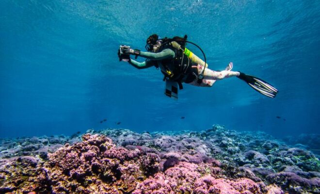 A scientist captures thousands of digital images to build a 3-D reef model during the 2026 National Coral Reef Monitoring Program survey at Swains Island. Credit: NOAA Fisheries.
