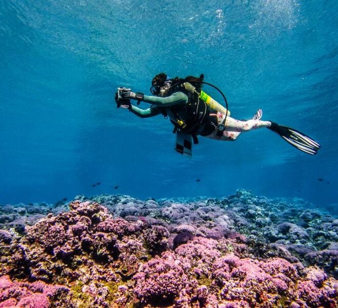 A scientist captures thousands of digital images to build a 3-D reef model during the 2026 National Coral Reef Monitoring Program survey at Swains Island. Credit: NOAA Fisheries.