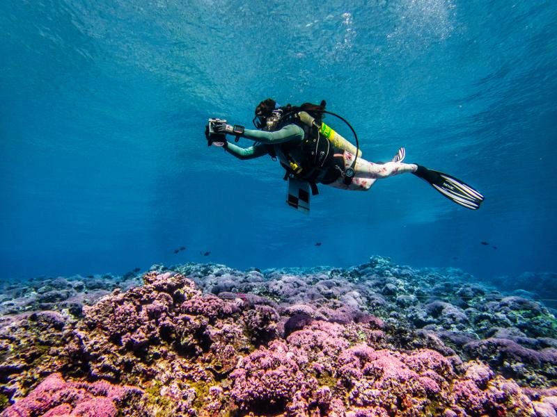 A scientist captures thousands of digital images to build a 3-D reef model during the 2026 National Coral Reef Monitoring Program survey at Swains Island. Credit: NOAA Fisheries.