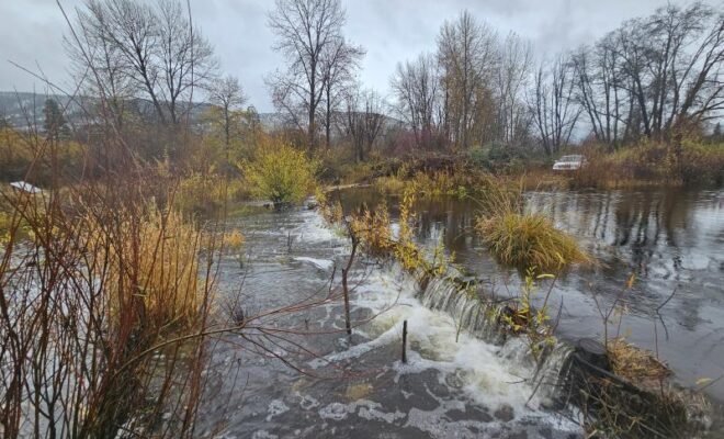 Sugar Creek flows over a dam initially created with beaver dam analogues to help improve habitat for coho salmon and other wildlife. Photo courtesy of Scott River Watershed Council.