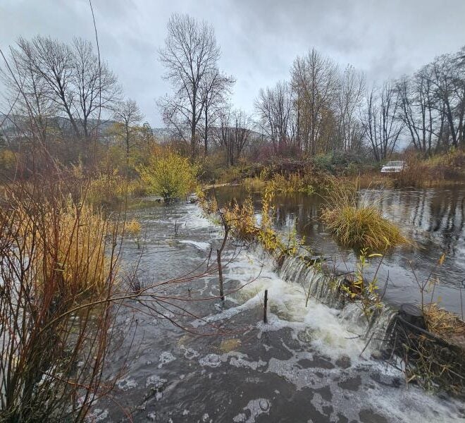 Sugar Creek flows over a dam initially created with beaver dam analogues to help improve habitat for coho salmon and other wildlife. Photo courtesy of Scott River Watershed Council.