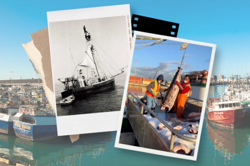 Archival photo of New England swordfishing vessel (left) courtesy of NOAA Fisheries; Background photo and photo offloading fish (right) courtesy of Hawaii Longline Association/Eric Kingma
