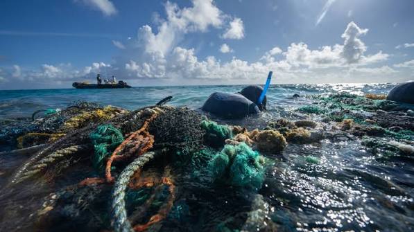 A freediver from the Papahānaumokuākea Marine Debris Project works to carefully remove a ghost net from the reef at Kamokuokamohoali‘i (Maro Reef) in Hawaii. (Image credit: Andrew Sullivan-Hawkins/Papahānaumokuākea Marine Debris Project (Under permit # PMNM-2024-003))